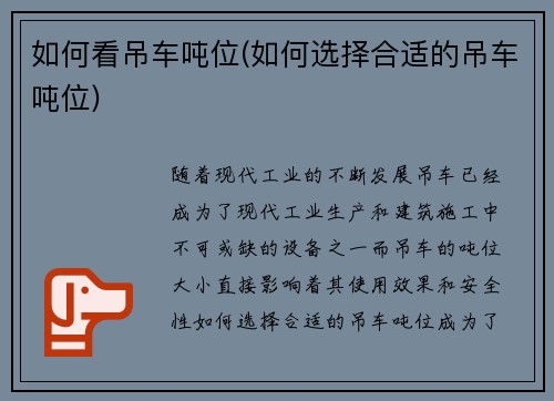 如何看吊车吨位(如何选择合适的吊车吨位)